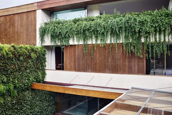Restaurante com arquitetura biofílica