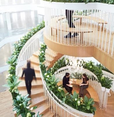Neuroarquitetura: como produzir projetos que afetam positivamente o cérebro