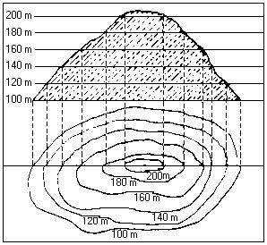 Exemplo de projeto de levantamento topográfico com mapeamento de vegetação
