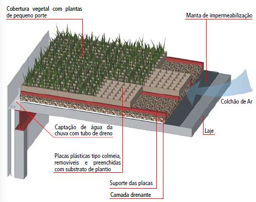 Montagem do teto verde