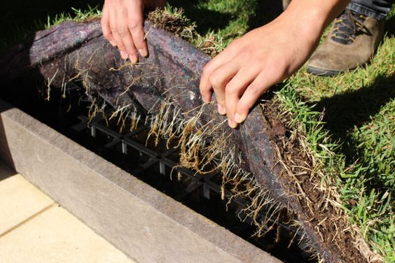 Substrato e vegetação