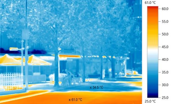 Diferença térmica em áreas arborizadas