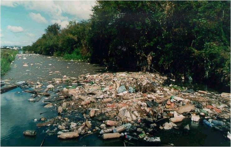 São inúmeros os danos ambientais causados pelo processo de urbanização desenfreado