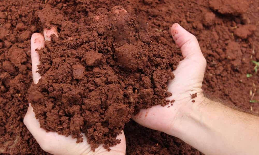 Construção utilizando a palha