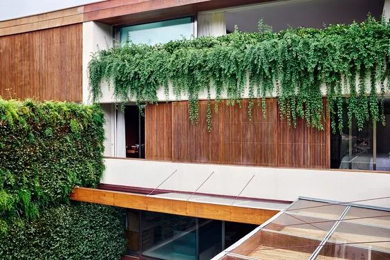 Arquitetura Biofílica: Como utilizar nos seus projetos