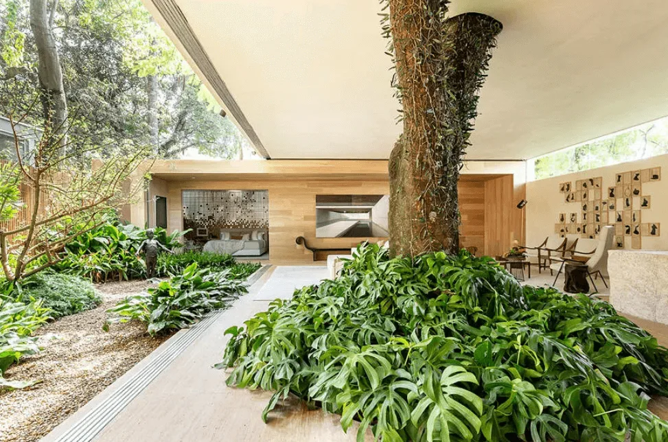 Design biofílico: como utilizar essa tendência nos projetos